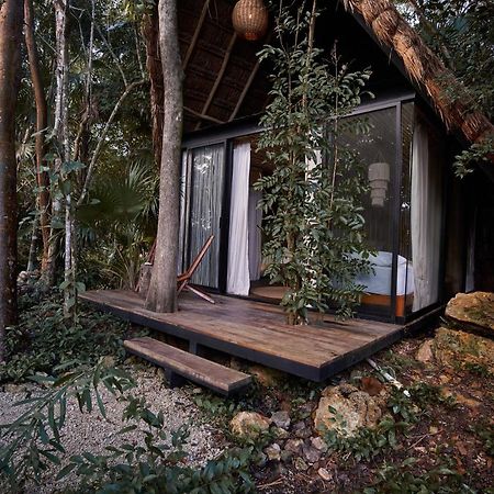 Buenavista  Kapok Bacalar - Plant Based Hotel מראה חיצוני תמונה