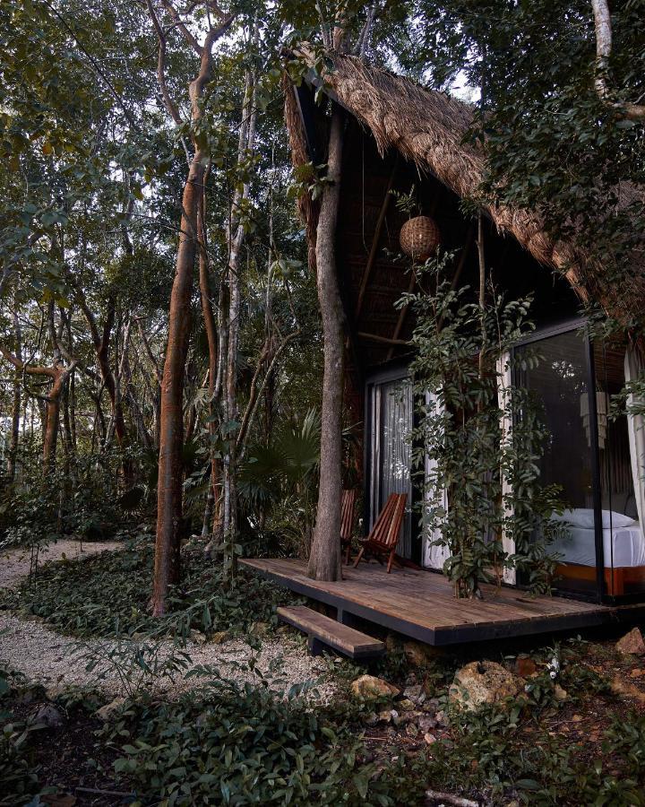 Buenavista  Kapok Bacalar - Plant Based Hotel מראה חיצוני תמונה