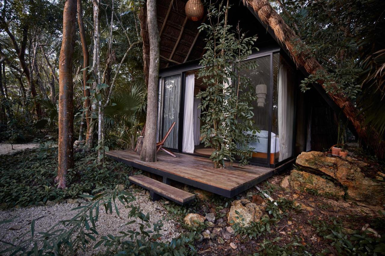 Buenavista  Kapok Bacalar - Plant Based Hotel מראה חיצוני תמונה