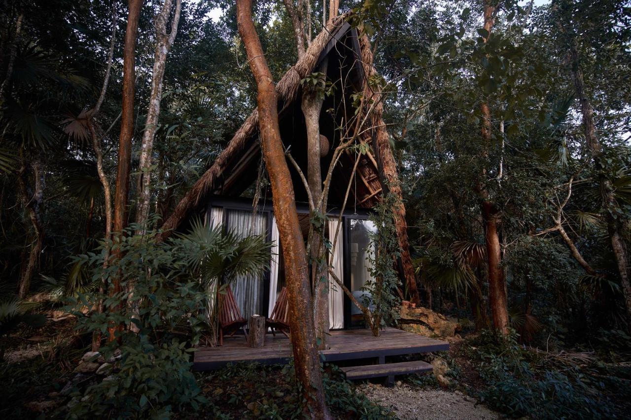 Buenavista  Kapok Bacalar - Plant Based Hotel מראה חיצוני תמונה