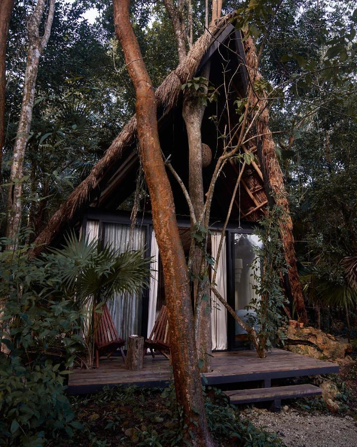 Buenavista  Kapok Bacalar - Plant Based Hotel מראה חיצוני תמונה
