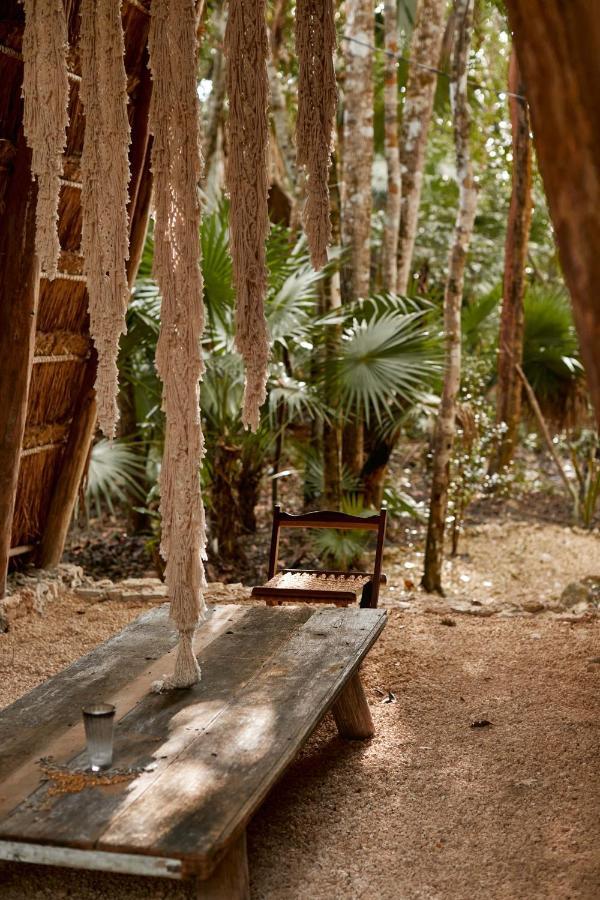 Buenavista  Kapok Bacalar - Plant Based Hotel מראה חיצוני תמונה