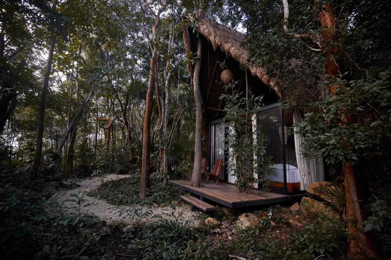 Buenavista  Kapok Bacalar - Plant Based Hotel מראה חיצוני תמונה